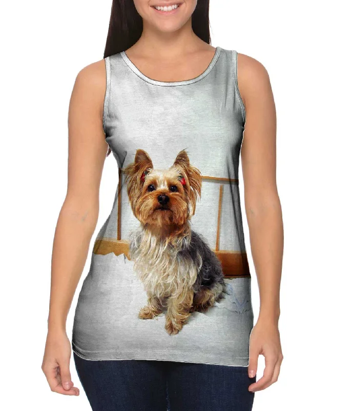 Fancy Yorkshire Terrier